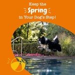 Zesty Paws Bacon Dog Joint Chews