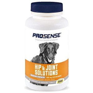 Healthy Glucosamine Chewables for Dog Joint Health