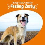 Joint Support Supplements for Dogs - Glucosamine Chondroitin