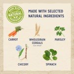 Turkey Recipe Large Breed Puppy Dry Dog Food