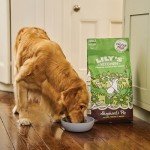 Lily's Kitchen Grain-Free Adult Dog Food - Lamb 1kg