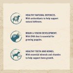 Turkey Recipe Large Breed Puppy Dry Dog Food