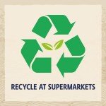 Turkey Recipe Large Breed Puppy Dry Dog Food