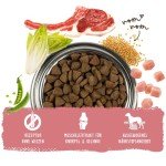 Bosch HPC Adult Lamb & Rice Dog Food 15kg