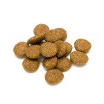 Lifelong Adult Dog Food with Salmon & Rice 5kg