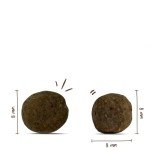 Bosch HPC Mini Senior Dog Food for Small Breeds