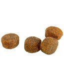 Dehner Wild Nature Adult Dog Food with Duck, 4kg