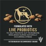 Purina Pro Plan Salmon & Rice Dry Dog Food