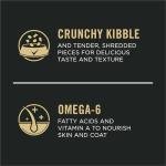 Purina Pro Plan Salmon & Rice Dry Dog Food