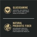 Purina Pro Plan Salmon & Rice Dog Food, 34 lb