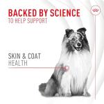 Royal Canin Skin & Coat Soft Chews for Dogs