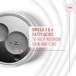 Royal Canin Skin & Coat Soft Chews for Dogs