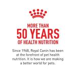 Royal Canin Adult In Gel Canned Dog Food