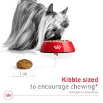Royal Canin X-Small Adult Dry Dog Food 2.5 lb