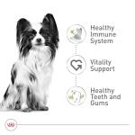 Royal Canin X-Small Adult Dry Dog Food 2.5 lb