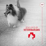 Royal Canin Skin & Coat Soft Chews for Dogs