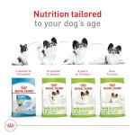 Royal Canin X-Small Adult Dry Dog Food 2.5 lb