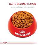 Royal Canin Small Breed Adult Dog Food 2.5 lb
