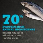 ACANA Wild Atlantic Grain-Free Dog Food 25lb