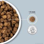 ACANA Wholesome Grains Fish & Grains Dog Food