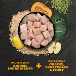 ACANA Classics Chicken & Barley Dry Dog Food