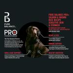 Sensitive Skin & Stomach Salmon Dog Food 8 lb