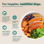 Jinx Salmon & Sweet Potato Dry Dog Food 23.5lb