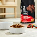 Sensitive Skin & Stomach Salmon Dog Food 8 lb