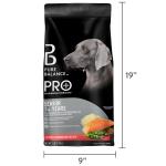 Senior Salmon & Brown Rice Dog Food, 8 lbs