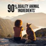 ORIJEN Grain-Free High-Protein Freeze-Dried Dog Food