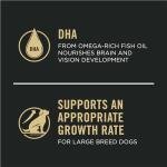 Purina Pro Plan Salmon & Rice Puppy Food 24 lb