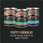 Purina Pro Plan Salmon & Rice Puppy Food 24 lb