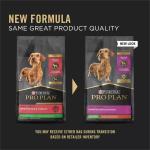 Purina Pro Plan Salmon Small Breed Dog Food