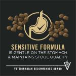 Purina Pro Plan Salmon & Rice Dog Food