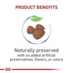 Royal Canin Small Puppy Dry Dog Food 2.5 lb