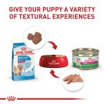 Royal Canin Small Puppy Dry Dog Food 2.5 lb