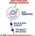 Royal Canin Large Breed Adult Dog Food 30 lb