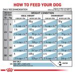 Royal Canin HP Hydrolyzed Protein Dry Dog Food