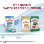 Royal Canin Small Puppy Dry Dog Food 2.5 lb