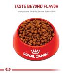 Royal Canin Cavalier King Charles Puppy Food