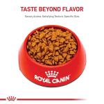Royal Canin Small Puppy Dry Dog Food 2.5 lb