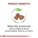 Royal Canin X-Small Breed Puppy Dry Food 3 lbs