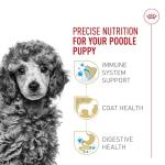 Royal Canin Poodle Puppy Dry Dog Food, 2.5 lb
