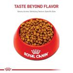 Royal Canin Shih Tzu Puppy Dry Dog Food
