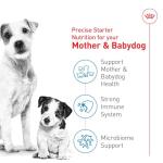 Royal Canin Small Starter Mother & Puppy Food