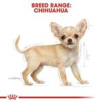 Royal Canin Chihuahua Puppy Dry Dog Food, 2.5 lbs