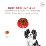 Royal Canin Cavalier King Charles Puppy Food