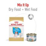 Royal Canin Cavalier King Charles Puppy Food