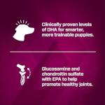 Eukanuba Puppy Pro Dry Dog Food, 4 lb