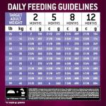 Eukanuba Puppy Pro Dry Dog Food, 4 lb